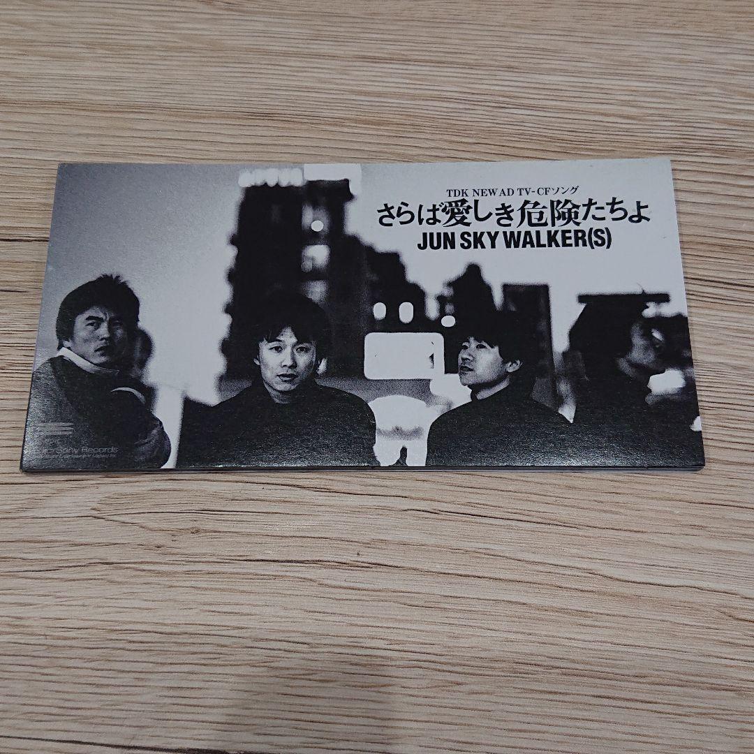 Jun Skywalkers Farewell To Dangers Single CD Japan CD