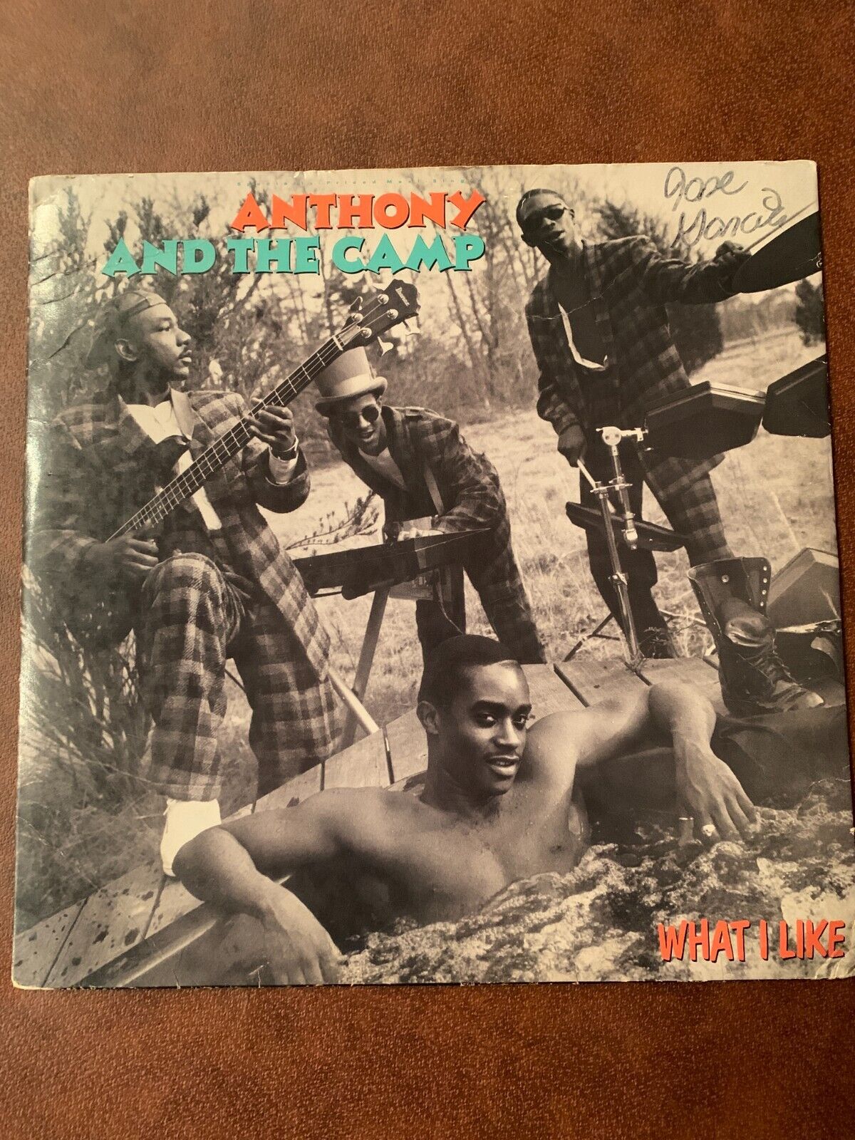 Anthony And The Camp- What I Like 1986 0-20449 Vinyl 12\'\' Vintage