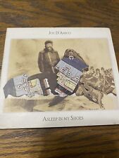 Asleep in My Shoes ] by Joe D'amico (CD, 2011, Indie Rock Folk Country Pop picture