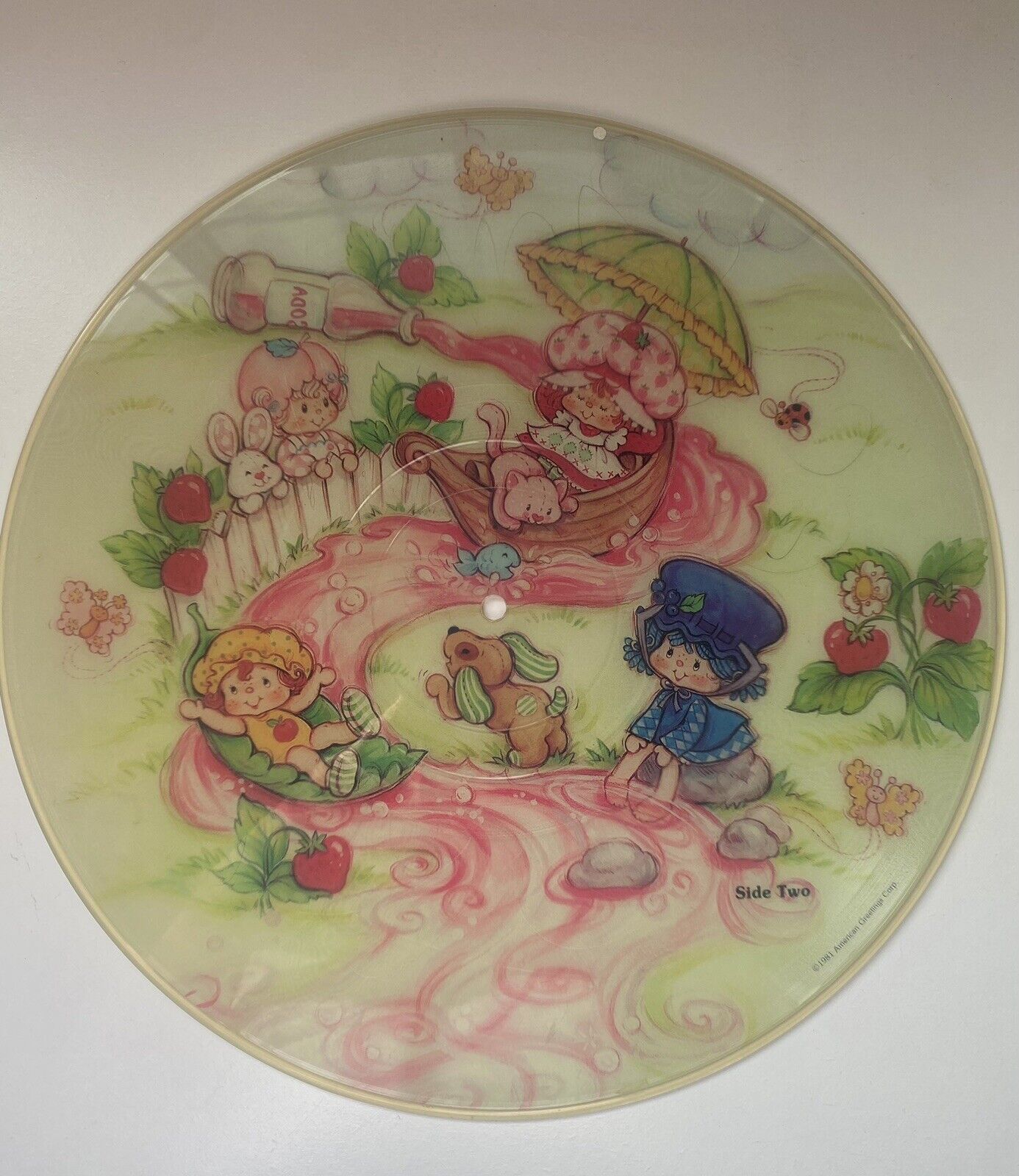 Vintage Strawberry Shortcake And Her Friends, 1981 Vinyl