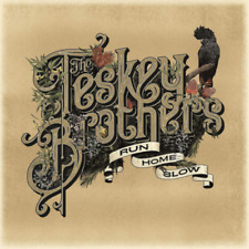 The Teskey Brothers Run Home Slow (CD) Album (UK IMPORT) picture