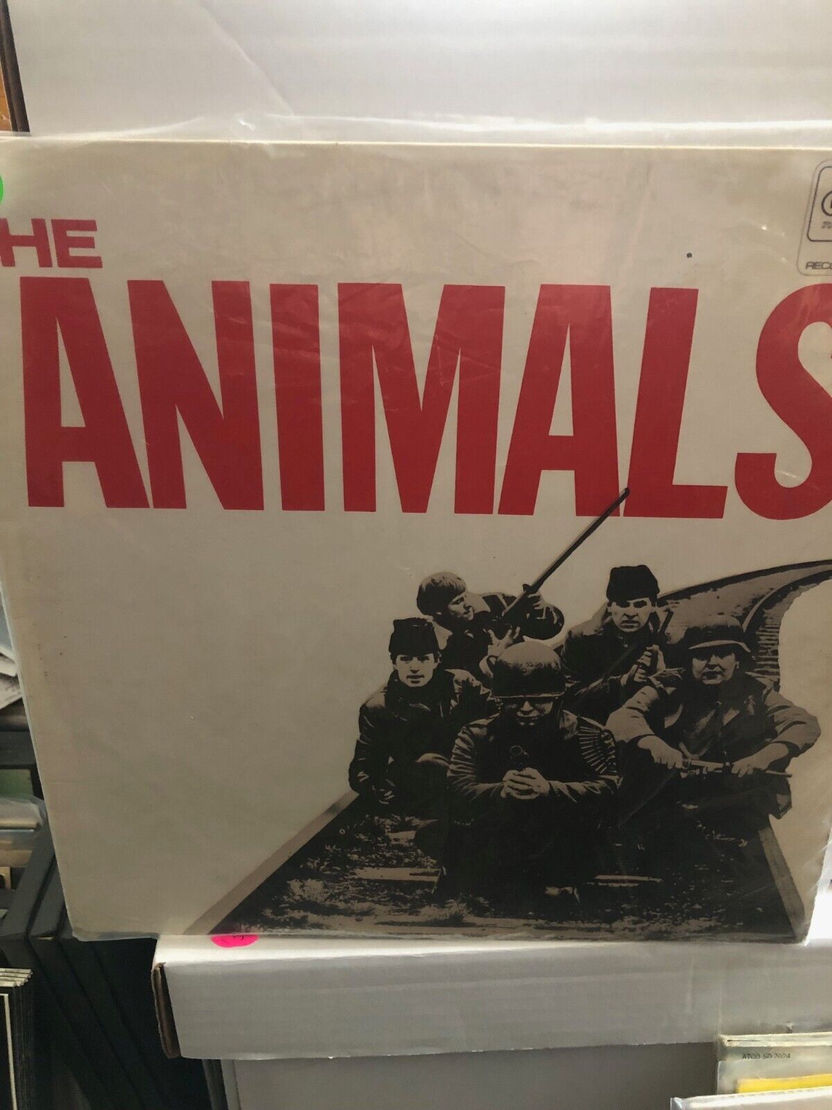 THE ANIMALS \