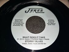 Stormy Blues What Does It Take Heaven Sent Jeree Records 81879 Mint Rare Vinyl picture