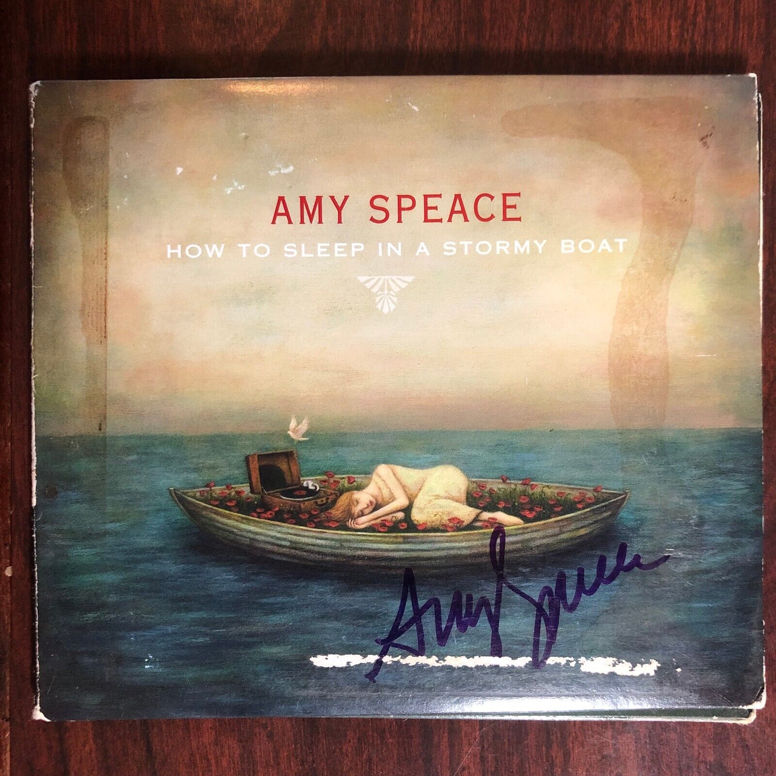 How to Sleep in a Stormy Boat by Amy Speace (CD, 2013) Autographed