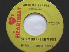 Seymour - Trumpet Autumn Leaves 7