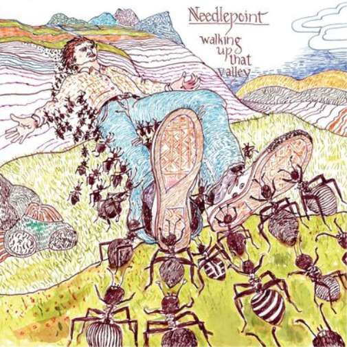 Needlepoint Walking Up That Valley (CD) Album
