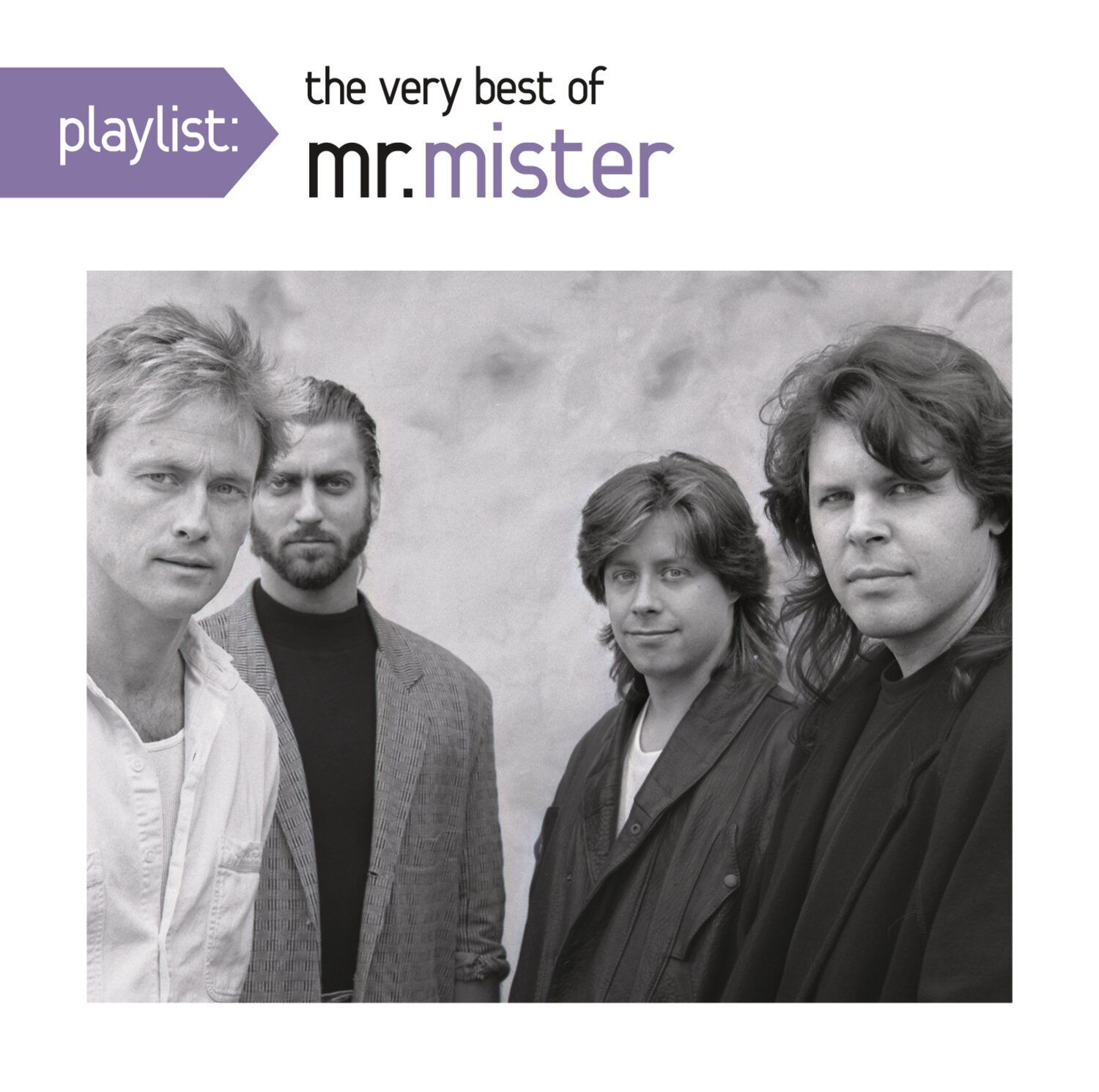 Mr. Mister Playlist:Very Best of (CD)