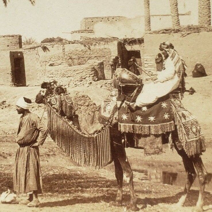 Egyptian Drummer Cairo Egypt Riding Camel 1896 Photo Drum Drumming Stereoview