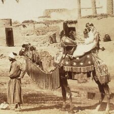 Egyptian Drummer Cairo Egypt Riding Camel 1896 Photo Drum Drumming Stereoview picture