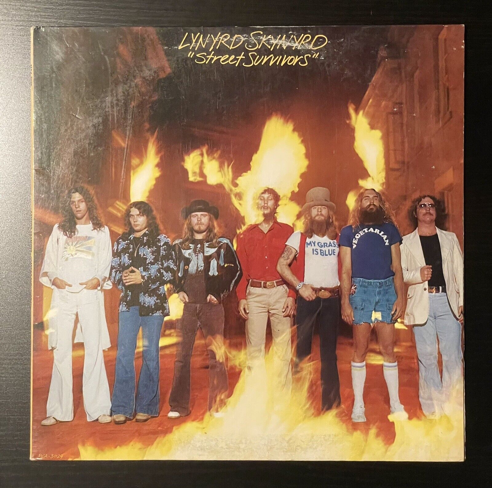 Lynyrd Skynyrd - Street Survivors Rare Flames Cover Vinyl First Press 1977 MCA