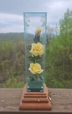 Chesterseal Vintage Glass Encased Lifesake Preserved Real Roses Music Box 12