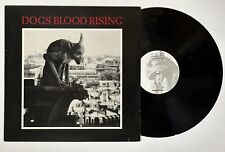 93 Current 93 – Dogs Blood Rising [Vinyl] (L.A.Y.L.A.H. – LAY 8) Benelux OG 1984 picture