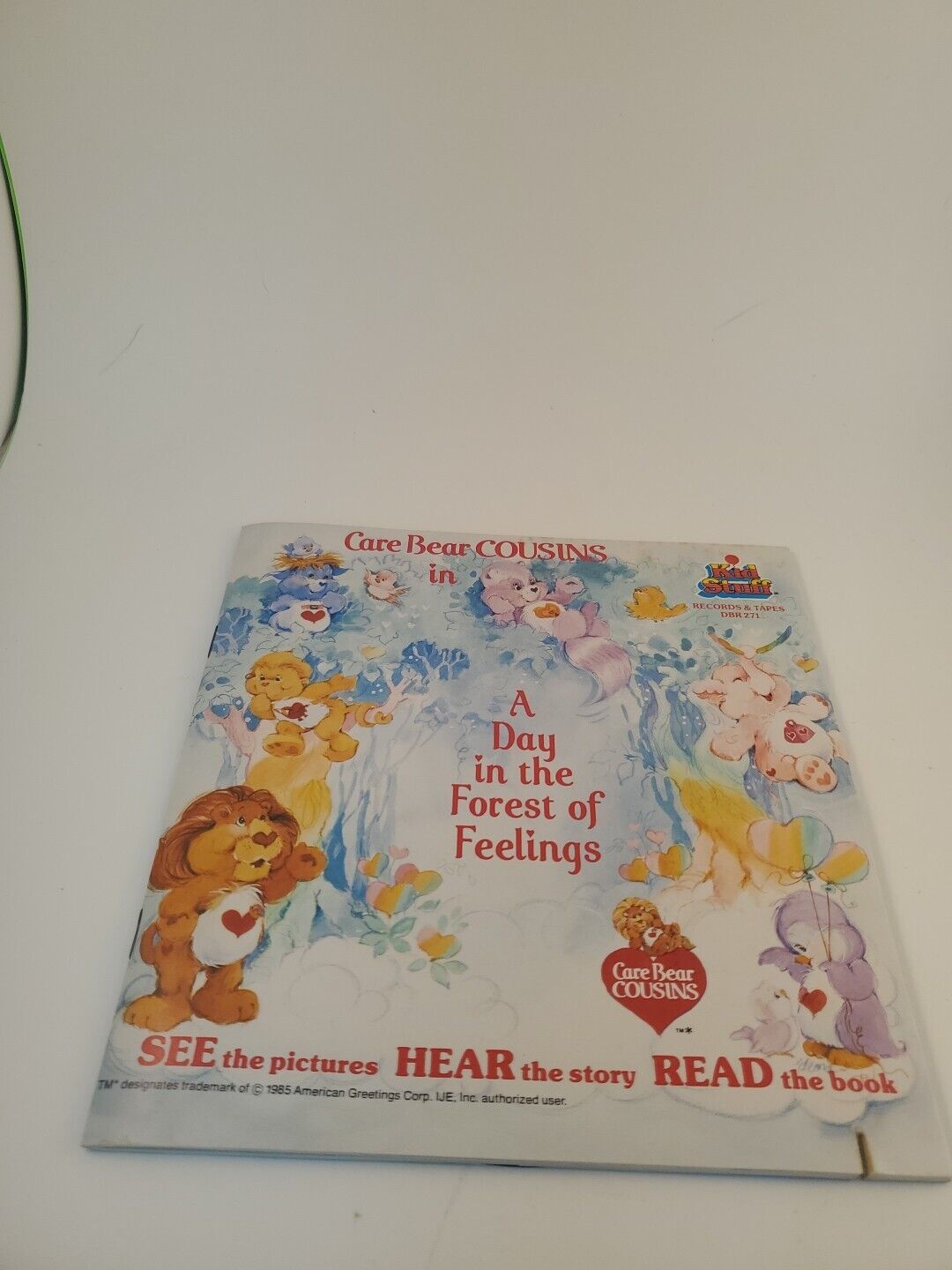 Vintage Care Bear Cousins In A Day In The Forest of Feelings Book Record 1985