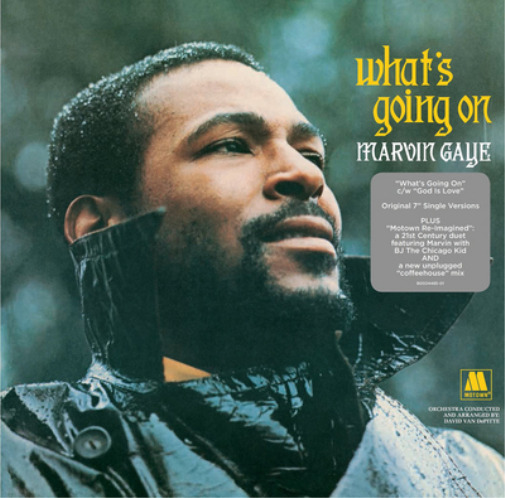 Marvin Gaye What\'s Going On (Vinyl) 10\