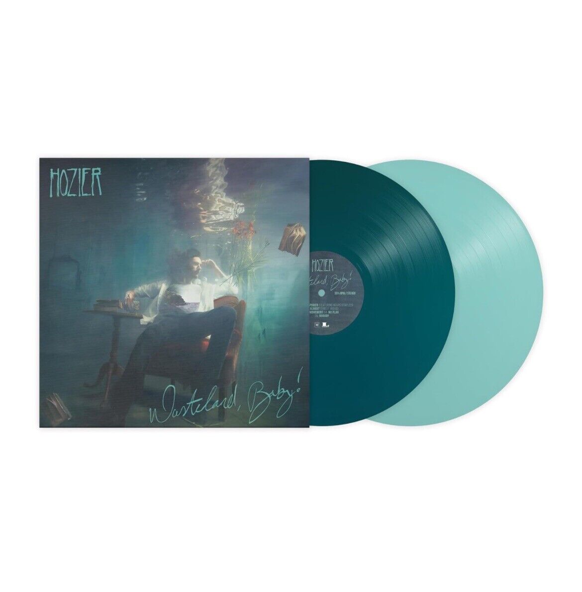 Limited Sea and Light Blue Vinyl 2LP Hozier Wasteland Baby Brand New Mint Rock
