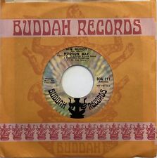Hudson Bay – Nothing To Loose But My Mind – Buddah Records BDA 211 – 1971 Promo picture