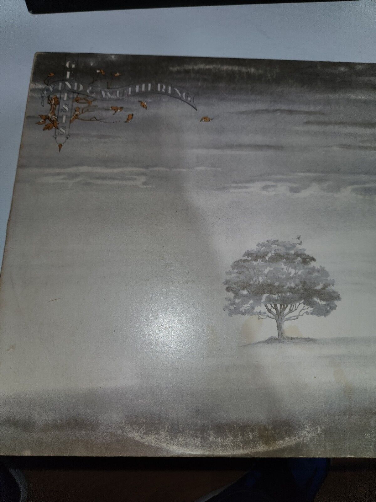 Genesis Wind and Wuthering LP Record 1976 vg+