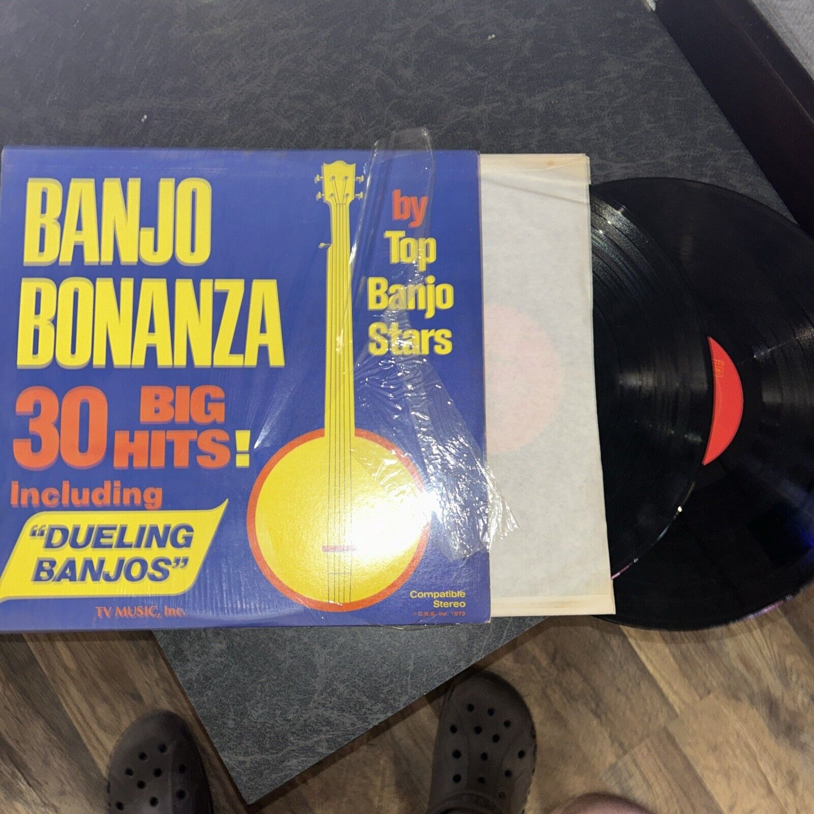 Banjo Bonanza Vinyl Record 