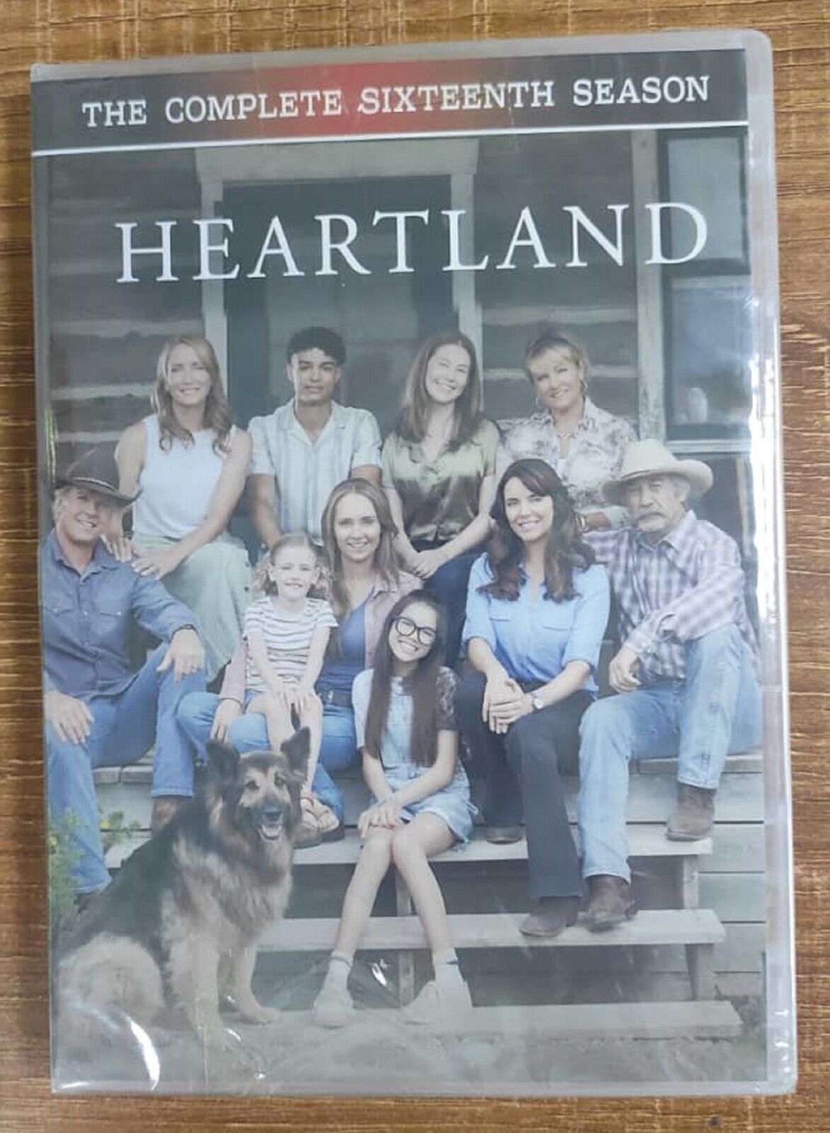 Heartland: The Complete Series,Season 16(DVD) Brand New / Fast Shipping