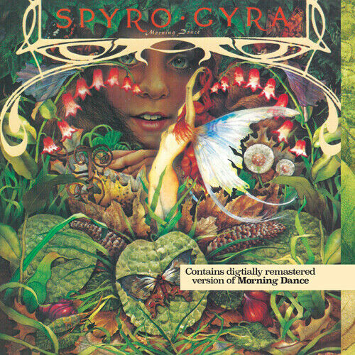 Spyro Gyra : Morning dance CD (1994)