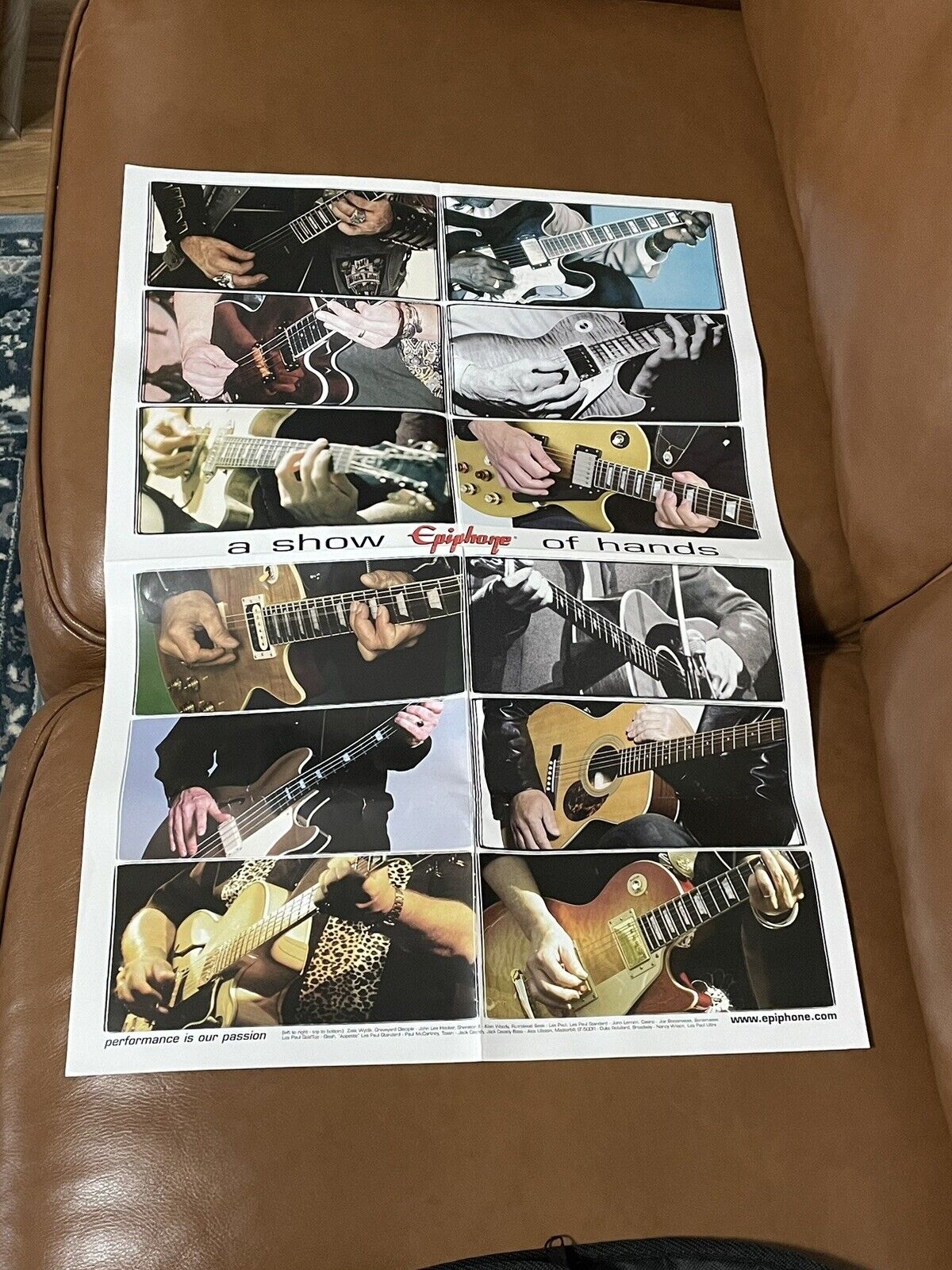 Epiphone guitar / bass case candy  Poster