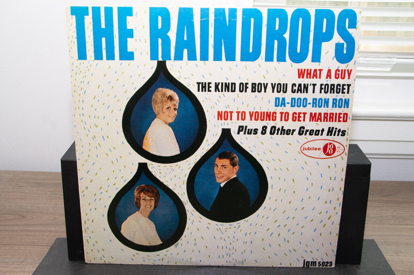 The Raindrops - Self Titled - Vinyl Record Lp