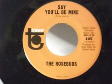 The Rosebuds,Tower 105,