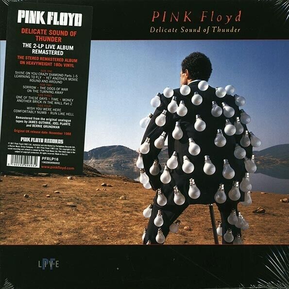 Pink Floyd - Delicate Sound Of Thunder-Remaster