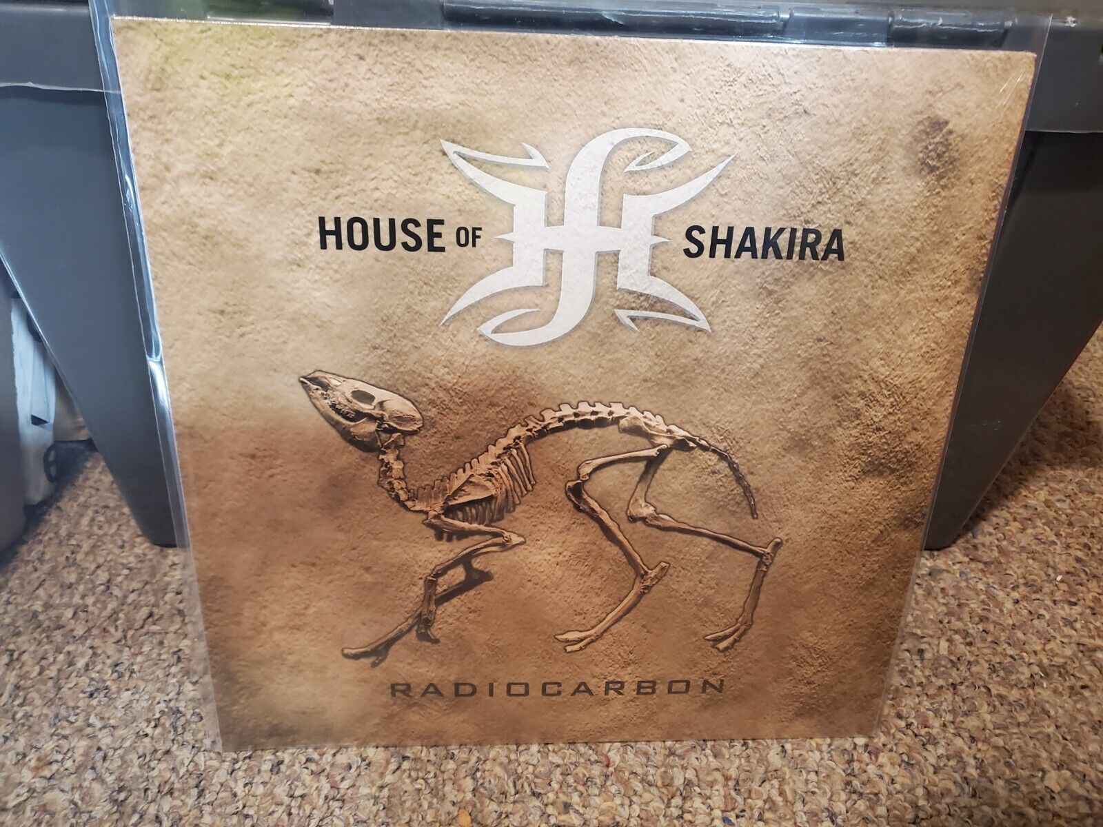 Radiocarbon by House of Shakira (Record, 2019)