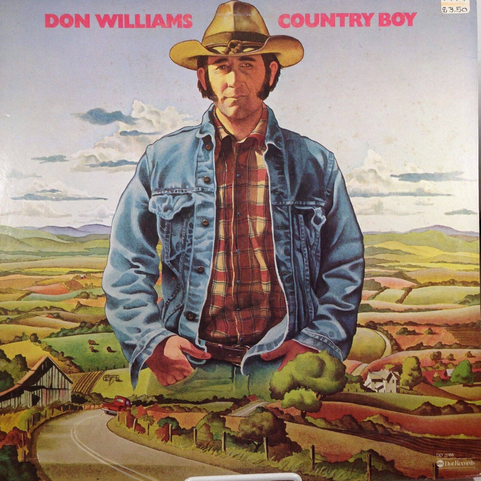 Vintage Vinyl LP Don Williams Country Boy