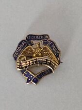 Vintage National Federation of Music Clubs Lapel Pin Blue & Gold With Eagle picture