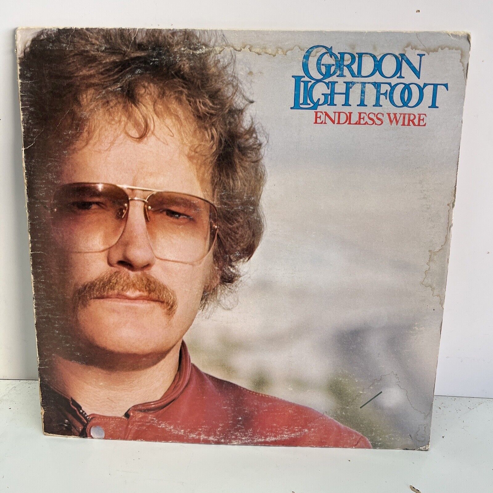 Vintage GORDON LIGHTFOOT Endless Wire VINYL LP 1978 Warner Brothers Records