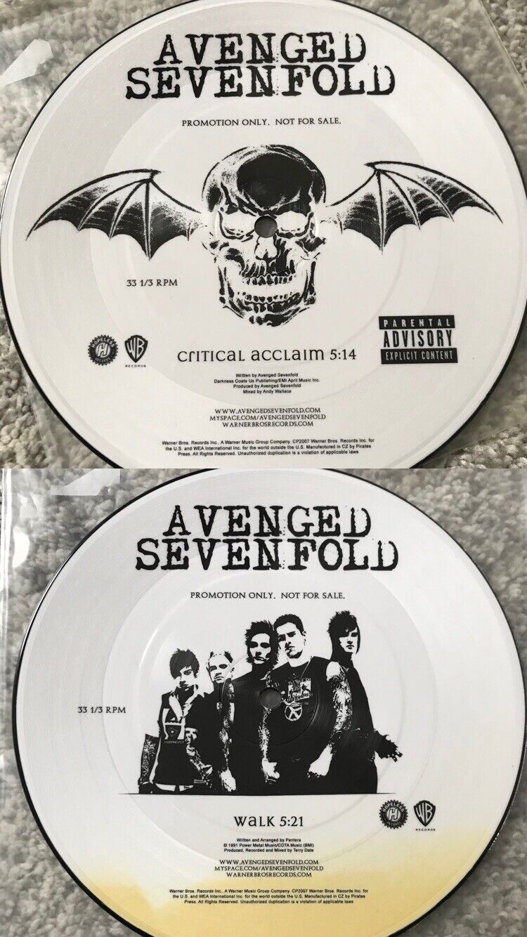 Avenged Sevenfold A7X Critical Acclaim Pic Disc Vinyl record 7