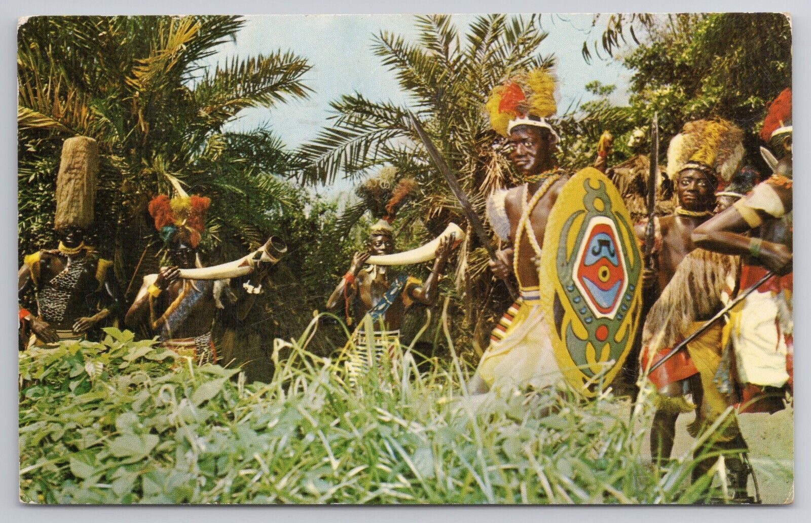 1960 Postcard Disneyland Jungle Drums Beat Natives Chant