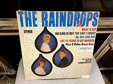 The Raindrops s/t self titled LP Murray Hill 1985 SEALED [Ellie Greenwich] picture