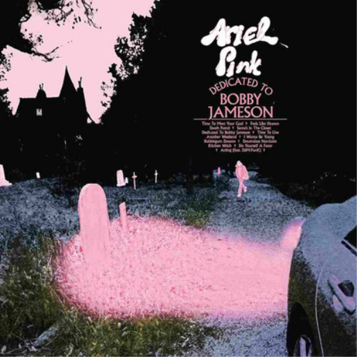 Ariel Pink Dedicated to Bobby Jameson (CD) Album