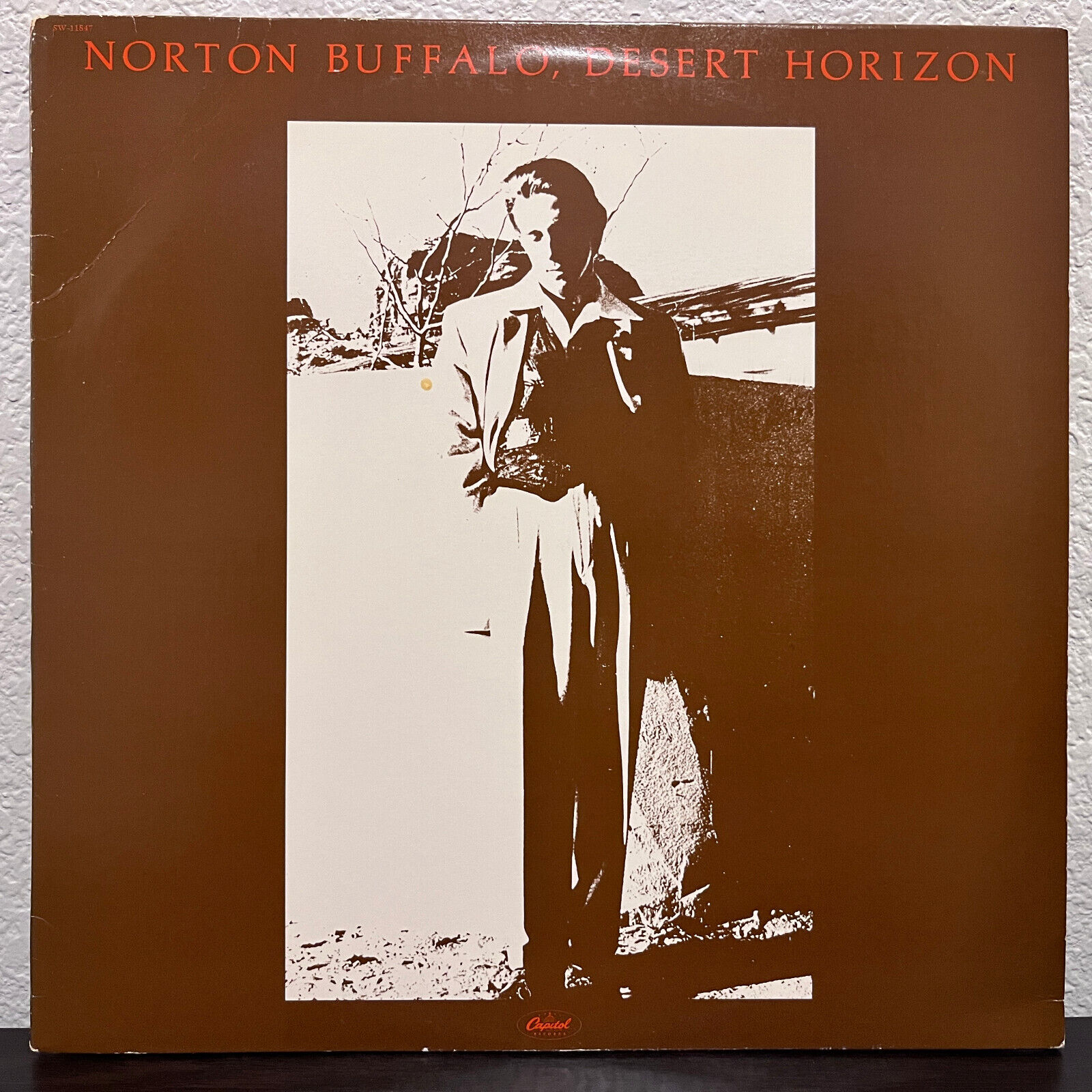 NORTON BUFFALO - Desert Horizon - 12\