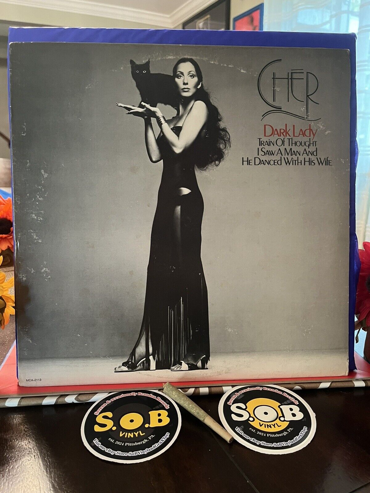 Cher Dark Lady 1974 Vinyl LP MCA Records USED VG / VG+ Condition