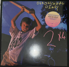 GUADALCANAL DIARY 2X4 PINK & YELLOW VINYL LP LIMITED EDITION SEALED MINT picture