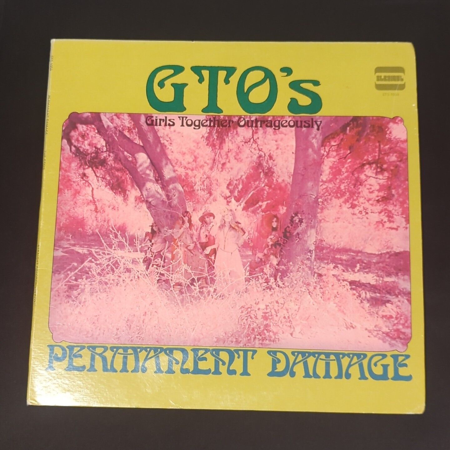 GTO\'S (GIRLS TOGETHER OUTRAGEOUSLY) - Permanent Damage. 1969 Vinyl LP W/Booklet
