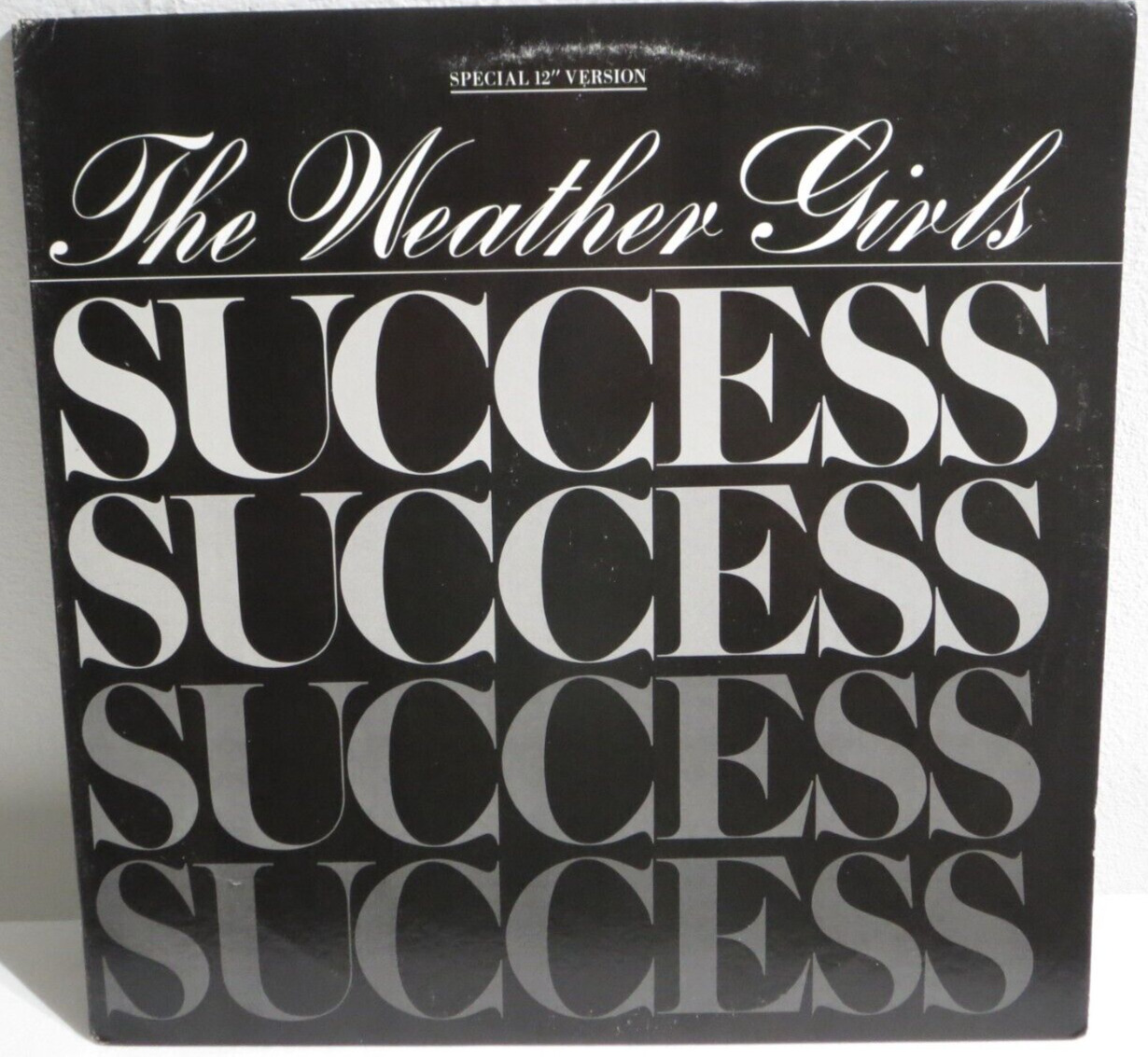 The Weather Girls – Success - Columbia – 44 04150 Vinyl 12\