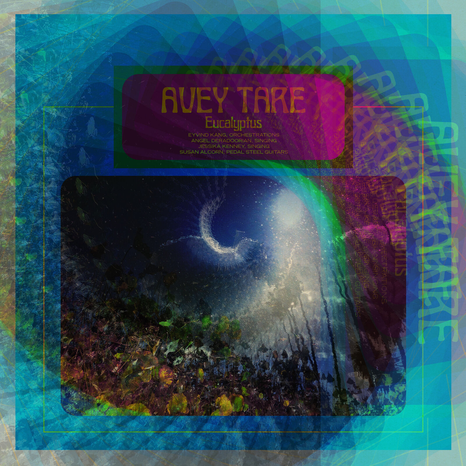 Avey Tare Eucalyptus Records & LPs New