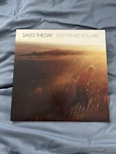 Stay What You Are [LP] by Saves the Day (Vinyl, Jul-2001, Vagrant Records USA) picture