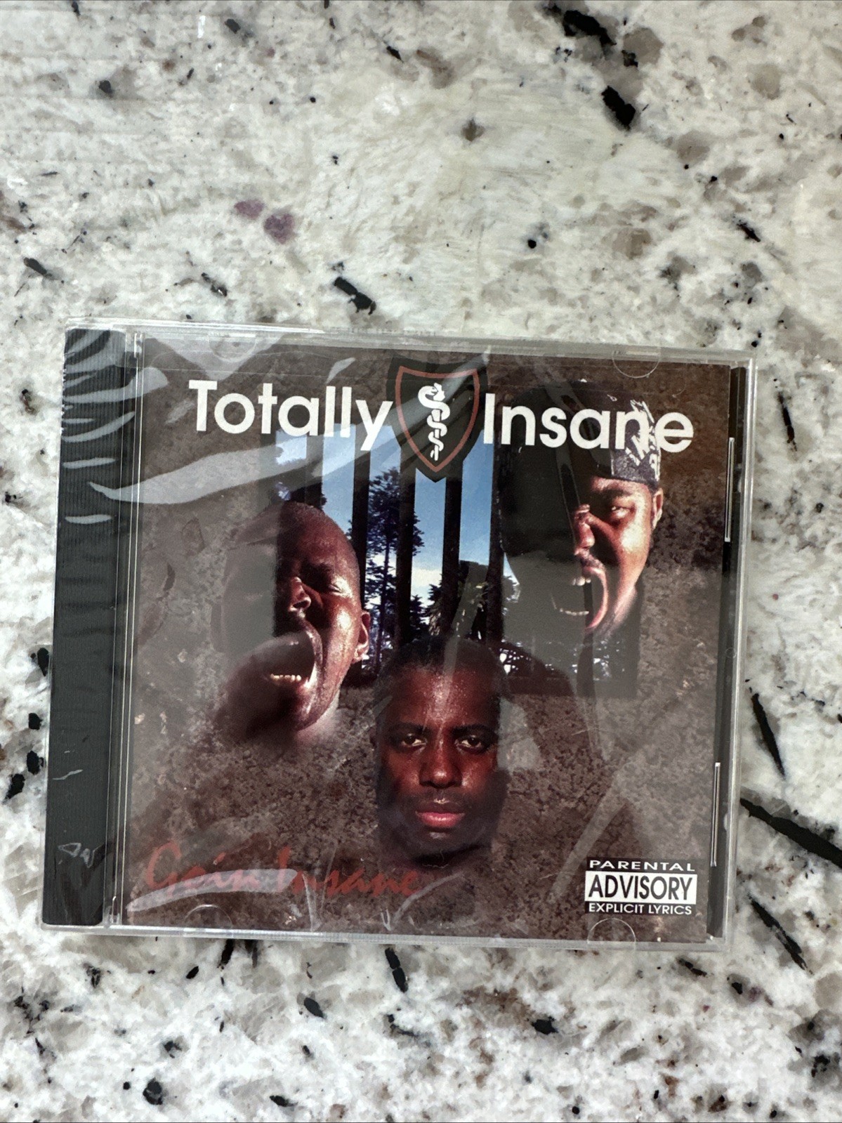 TOTALLY INSANE - Goin' Insane - CD 1993 In-A-Minute Records – INA 8500-2 Rare