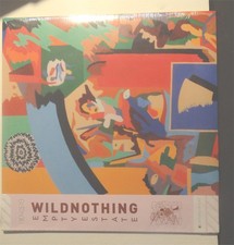 Wild Nothing - Vinyl EP 2013 Indie Rock, EMPTY ESTATE  , Captured Tracks Records picture