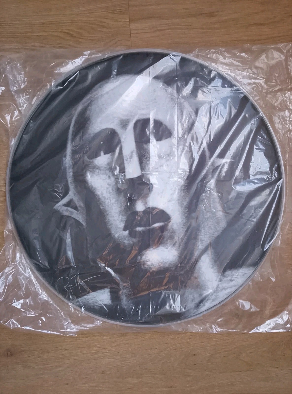Queen Roger Taylor Frank NOTW Drumskin. This Image Was Featured On The Album LP