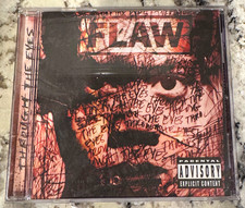 Flaw Through the Eyes CD Album 2001 Universal Rock Parental Advisory picture