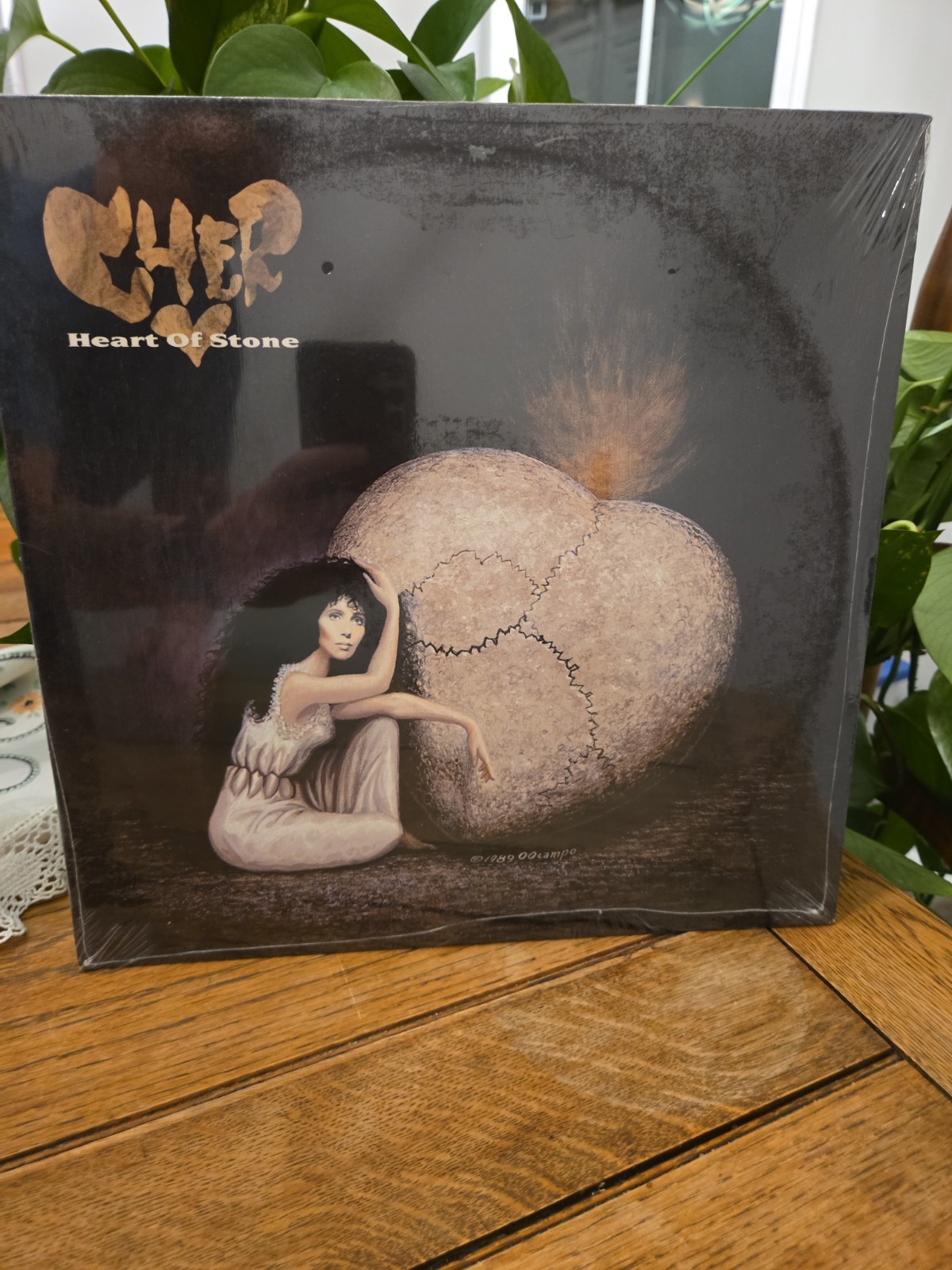 SEALED 1989 CHER HEART OF STONE Lp SKULL COVER Record 1ST PRESS Vinyl OG