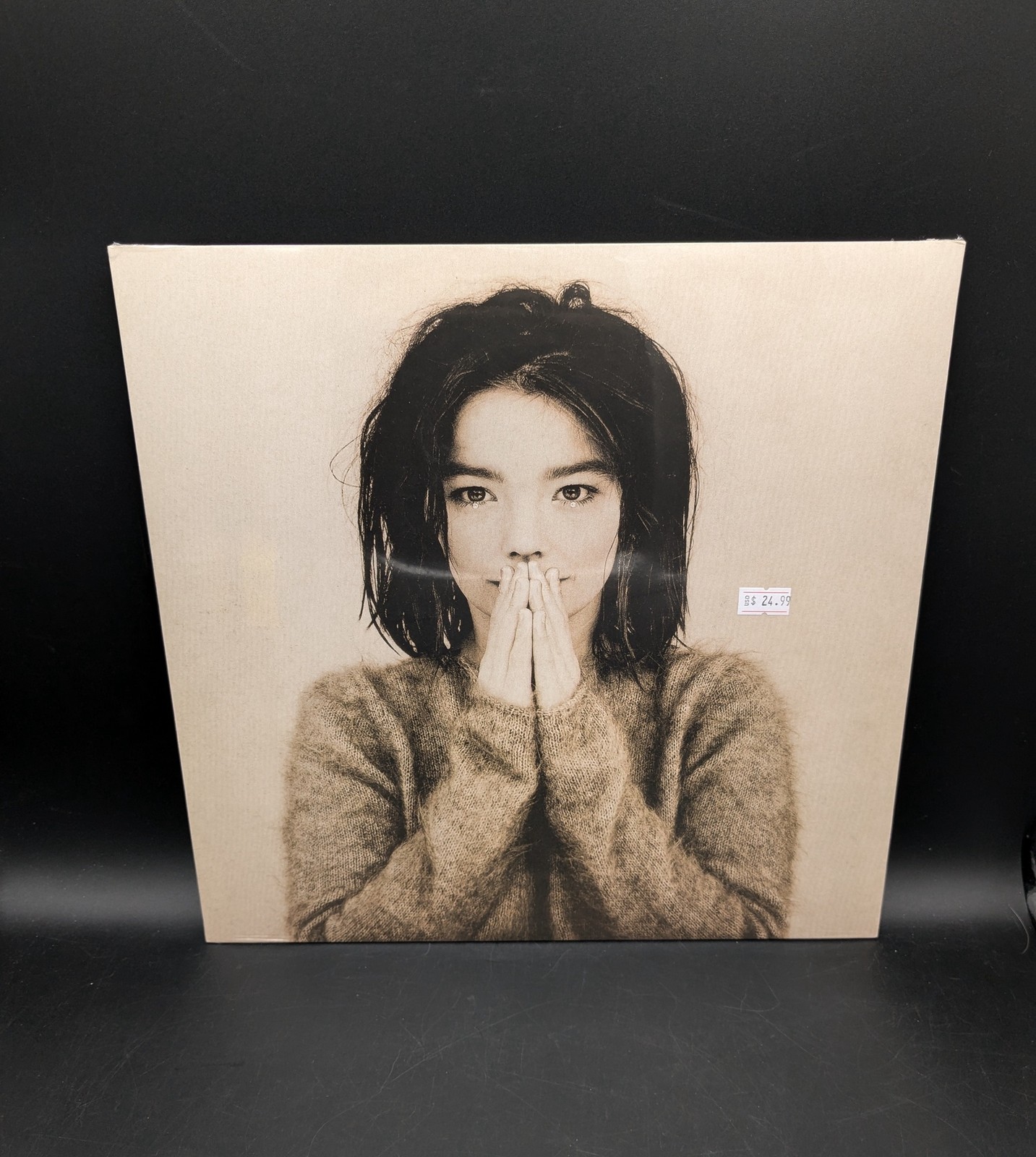 Vinyl Record Björk Debut