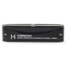 Hammond Ha-20 10-Hole Harmonica, Key Of E._ picture